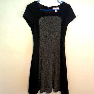 ☀️ White House Black Market- Size 2 - Black and Gray dress
